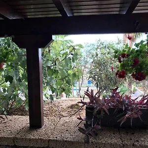 https://finca-el-cortijo.in-canary-islands.com
